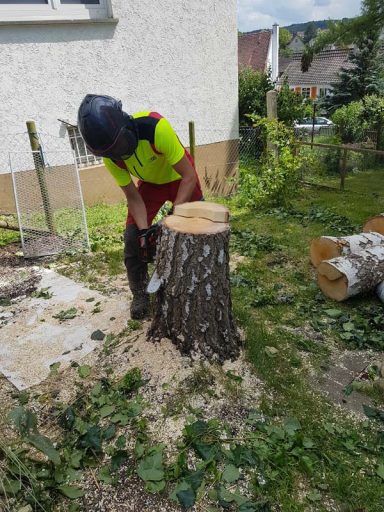 Person mit gelber Warnweste sägt Holz auf einem Baumstumpf im Garten.