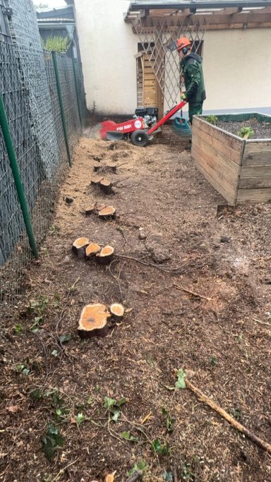 Mann mit Holzfräse bearbeitet einen Garten mit Holzscheiben im Boden.