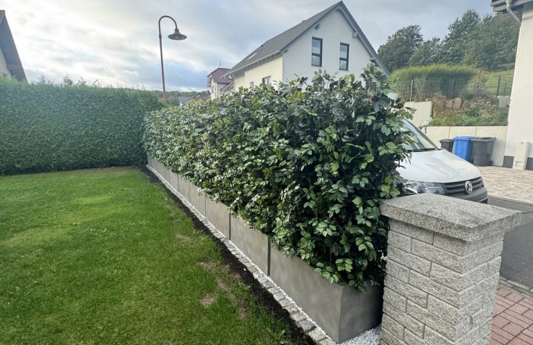 Grüne Hecke und Betonmauer in einem Garten, neben einem Wohnhaus parkt ein Auto.