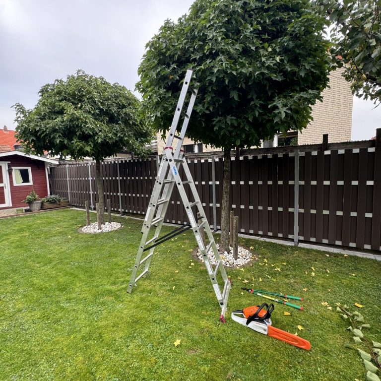 Eine Leiter steht im Garten neben zwei Bäumen und einer Kettensäge auf dem Boden.