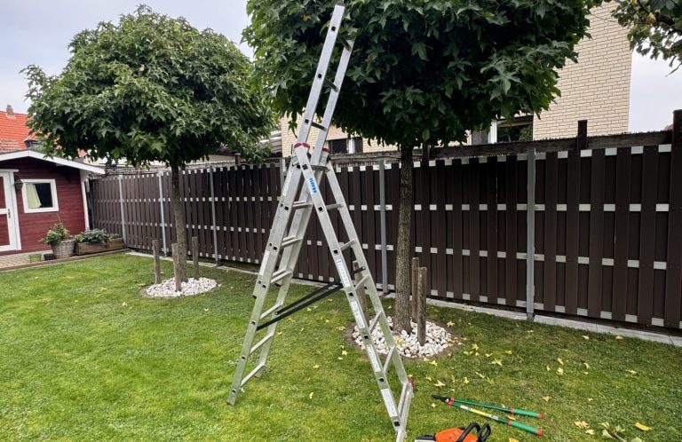 Aluleiter steht im Garten neben zwei Bäumen vor einem Zaun.